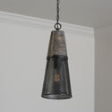 One Light Pendant from the Coker Collection in Barn House Finish by Capital Lighting