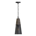 One Light Pendant from the Coker Collection in Barn House Finish by Capital Lighting