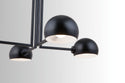 Four Light Chandelier from the Hadley Collection in Matte Black Finish by Capital Lighting