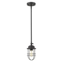 One Light Mini Pendant from the Seaport BLK Collection in Matte Black Finish by Golden