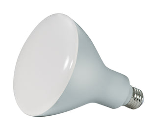 Satco - S28493 - Light Bulb - Frost from Lighting & Bulbs Unlimited in Charlotte, NC