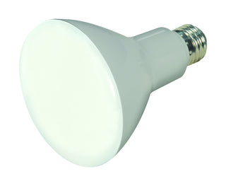 Satco - S29625 - Light Bulb - Frost from Lighting & Bulbs Unlimited in Charlotte, NC