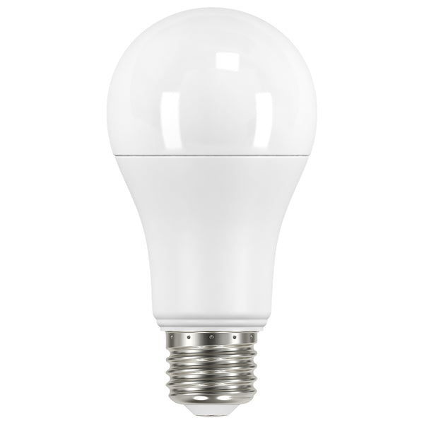 Satco - S11422 - Light Bulb - Frost from Lighting & Bulbs Unlimited in Charlotte, NC