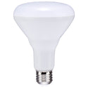 Satco - S11474 - Light Bulb - Frost from Lighting & Bulbs Unlimited in Charlotte, NC