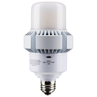 Light Bulb in White Finish by Satco