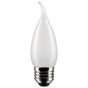 Satco - S21317 - Light Bulb - Frost from Lighting & Bulbs Unlimited in Charlotte, NC