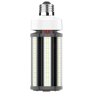 Satco - S23149 - Light Bulb - White from Lighting & Bulbs Unlimited in Charlotte, NC
