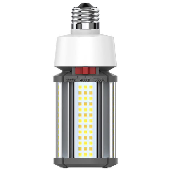 Satco - S23160 - Light Bulb - White from Lighting & Bulbs Unlimited in Charlotte, NC