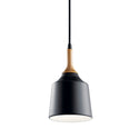 One Light Mini Pendant from the Danika Collection in Black Finish by Kichler