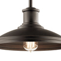 One Light Outdoor Pendant/Semi Flush Mount from the Allenbury Collection in Olde Bronze Finish by Kichler