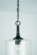 One Light Pendant from the Carter Collection in Matte Black Finish by Capital Lighting