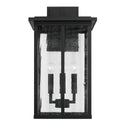 Four Light Outdoor Wall Lantern from the Barrett Collection in Black Finish by Capital Lighting
