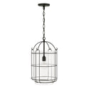 One Light Pendant from the Harmon Collection in Matte Black Finish by Capital Lighting