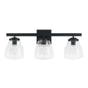 Three Light Vanity from the Dillon Collection in Matte Black Finish by Capital Lighting