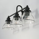 Three Light Vanity from the Baxter Collection in Matte Black Finish by Capital Lighting