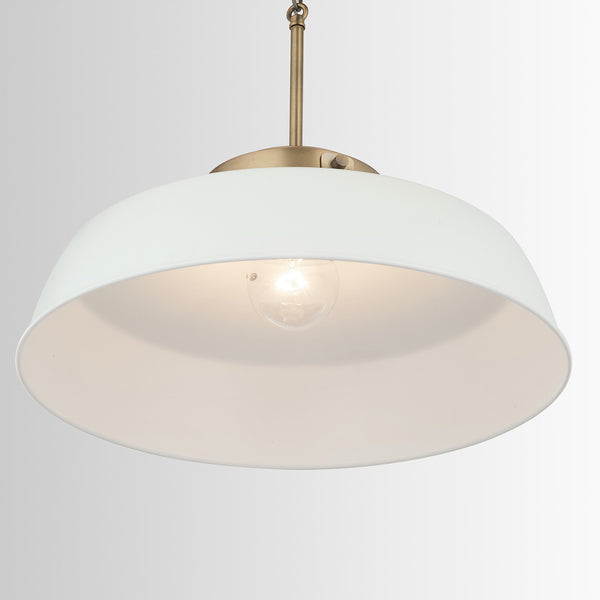 One Light Pendant from the Oakwood Collection in Matte White Finish by Austin Allen