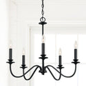 Five Light Chandelier in Matte Black Finish by Austin Allen