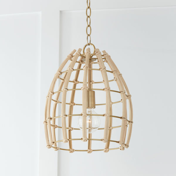 One Light Pendant from the Wren Collection in Matte Brass Finish by Capital Lighting