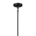 Five Light Chandelier from the Freesia Collection in Textured Black Finish by Kichler