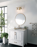 Two Light Bath from the Everett Collection in Brushed Brass Finish by Kichler