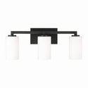 Three Light Vanity from the Ravenwood Collection in Black Iron Finish by Capital Lighting