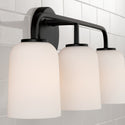 Three Light Vanity from the Lawson Collection in Matte Black Finish by Capital Lighting