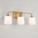 Three Light Vanity from the Presley Collection in Aged Brass Finish by Capital Lighting