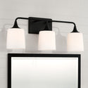 Three Light Vanity from the Presley Collection in Matte Black Finish by Capital Lighting