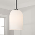 One Light Pendant from the Lawson Collection in Matte Black Finish by Capital Lighting