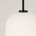 One Light Pendant from the Lawson Collection in Matte Black Finish by Capital Lighting