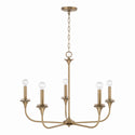 Five Light Chandelier from the Presley Collection in Aged Brass Finish by Capital Lighting