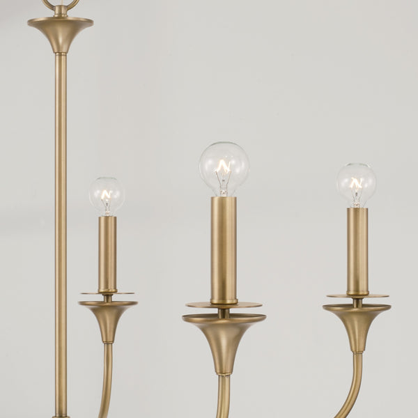 Five Light Chandelier from the Presley Collection in Aged Brass Finish by Capital Lighting