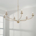 Six Light Chandelier from the Dolan Collection in Matte Brass Finish by Capital Lighting