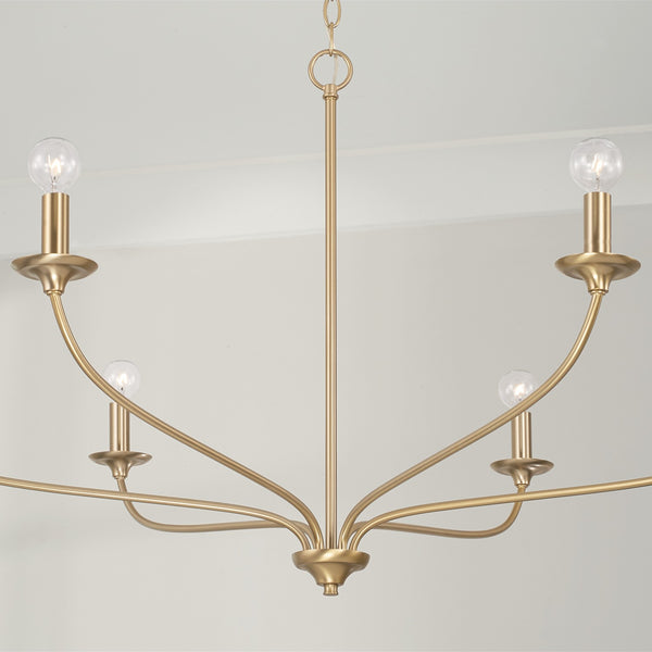 Six Light Chandelier from the Dolan Collection in Matte Brass Finish by Capital Lighting