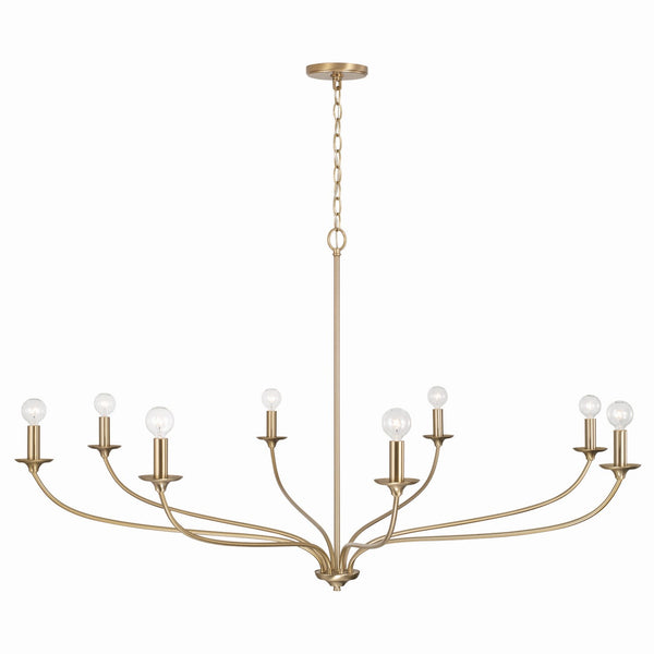 Eight Light Chandelier from the Dolan Collection in Matte Brass Finish by Capital Lighting